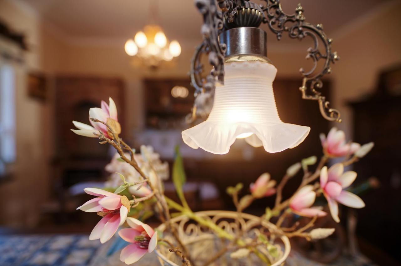 Mikołajki Czapla Stare Sady Bed & Breakfast エクステリア 写真